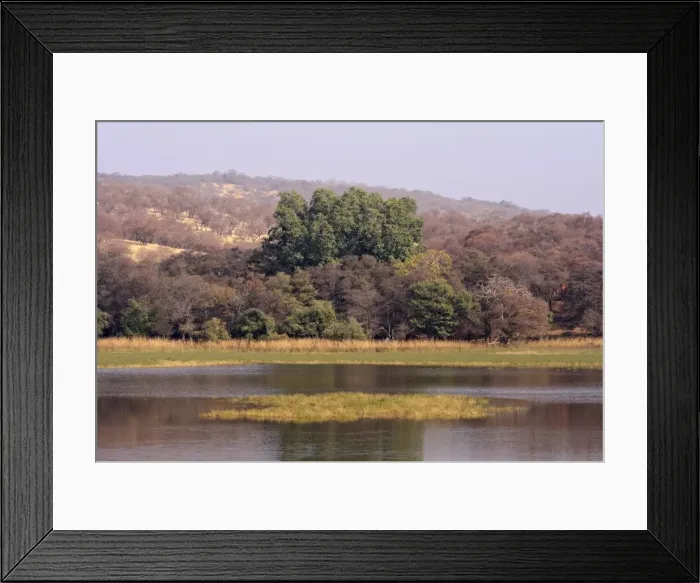 Framed Print : Ranthambhor National Park, India Framed Print : Ranthambhor National Park, India