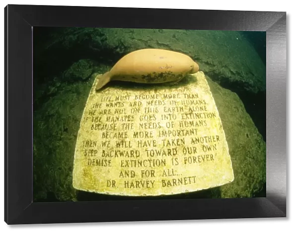 The Manatee Monument - at the bottom of 'King Spring'