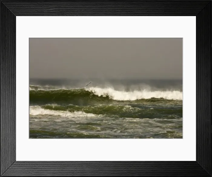 Framed Print : Crashing waves and Gull Framed Print : Crashing waves and Gull