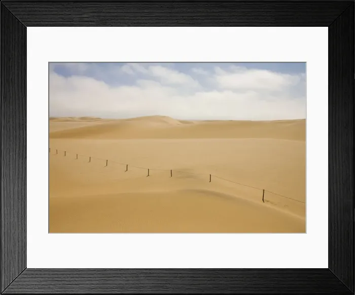 Framed Print : Fenced off area Marking the beginning of the breading area for the endangered Damara Tern Near Swakopmund, Namibia, Africa Framed Print : Fenced off area Marking the beginning of the breading area for the endangered Damara Tern Near Swakopmund, Namibia, Africa