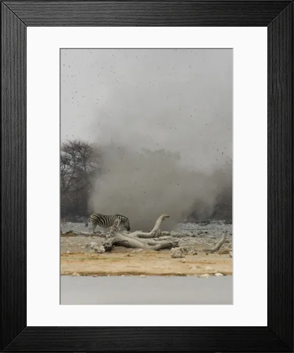 Framed Print : Dust Devil Throwing debris high in the air at Goas Waterhole Etosha National Park, Namibia, Africa Framed Print : Dust Devil Throwing debris high in the air at Goas Waterhole Etosha National Park, Namibia, Africa