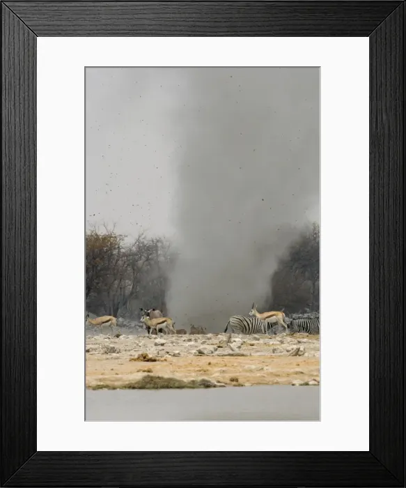 Framed Print : Dust Devil Throwing debris high in the air at Goas Waterhole Etosha National Park, Namibia, Africa Framed Print : Dust Devil Throwing debris high in the air at Goas Waterhole Etosha National Park, Namibia, Africa