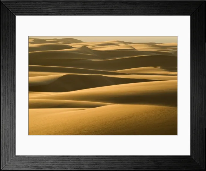 Framed Print : Dunes in late afternoon light - Dune Fields - Namib Desert - Namibia - Africa Framed Print : Dunes in late afternoon light - Dune Fields - Namib Desert - Namibia - Africa