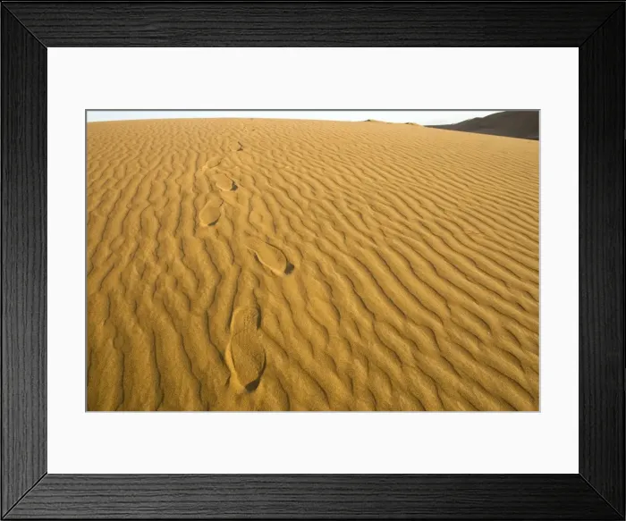 Framed Print : Footprints leading over a dune - Late evening sunlight - Dune Sea - Namib Desert - Namibia - Africa Framed Print : Footprints leading over a dune - Late evening sunlight - Dune Sea - Namib Desert - Namibia - Africa