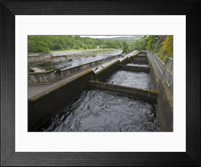 Framed Print : Salmon ladder at Pitlochry hydroelectric dam and power station, Scotland UK Framed Print : Salmon ladder at Pitlochry hydroelectric dam and power station, Scotland UK