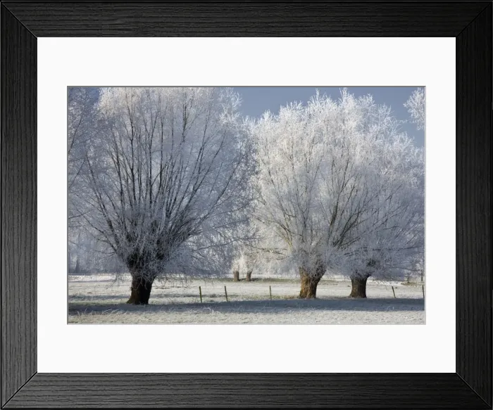 Framed Print : landscape in winter with heavy frost - countryside - Belgium Framed Print : landscape in winter with heavy frost - countryside - Belgium