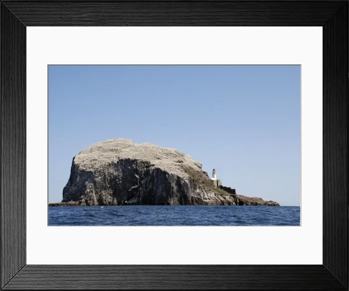 Framed Print : Bass Rock- a volcanic plug, a major historic seabird nesting site. Firth of Forth, Scotland Framed Print : Bass Rock- a volcanic plug, a major historic seabird nesting site. Firth of Forth, Scotland