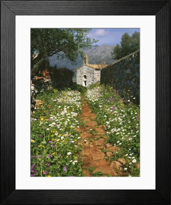 Framed Print : South Greece ROG 10785 Old chapel with flowery path. Pygros Dinoli, Mani Peninsula S. Greece. © Bob Gibbons / ARDEA LONDON Framed Print : South Greece ROG 10785 Old chapel with flowery path. Pygros Dinoli, Mani Peninsula S. Greece. © Bob Gibbons / ARDEA LONDON