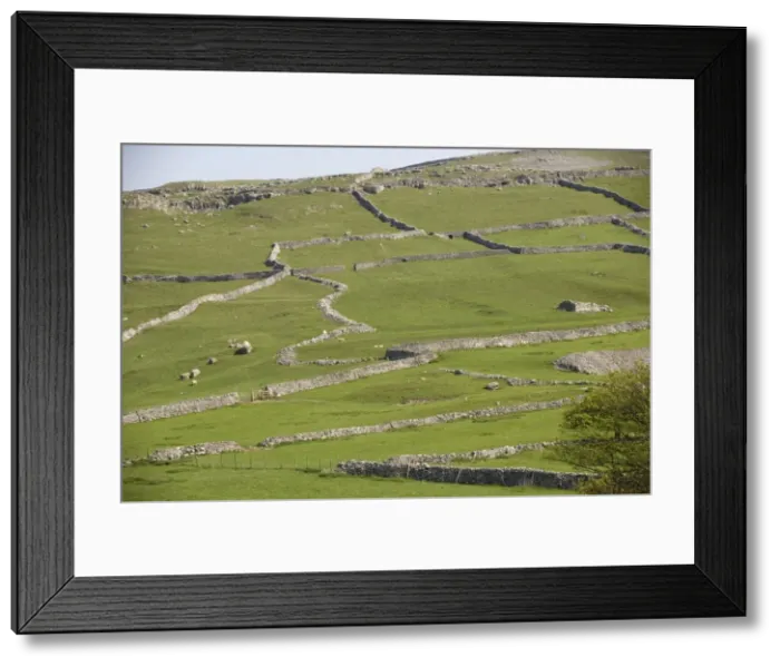 Framed Print : Field patterns of different ages at Malham, Yorkshire Dales. National Park Framed Print : Field patterns of different ages at Malham, Yorkshire Dales. National Park