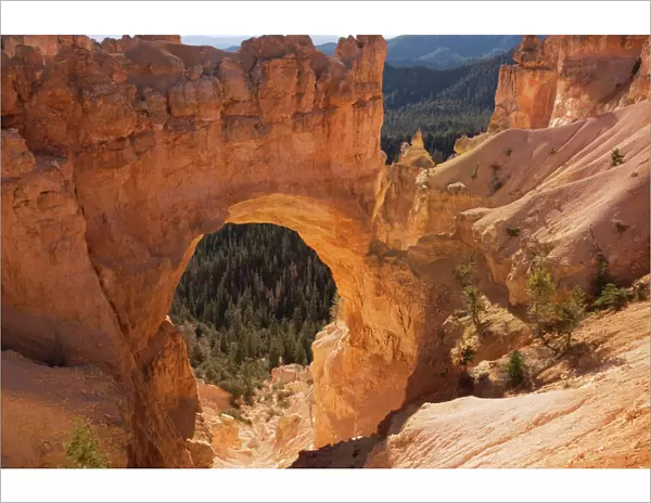 Bryce Canyon: 'Natural bridge' (strictly-speaking, it's an arch), Utah, USA