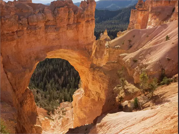 Bryce Canyon: 'Natural bridge' (strictly-speaking, it's an arch), Utah, USA