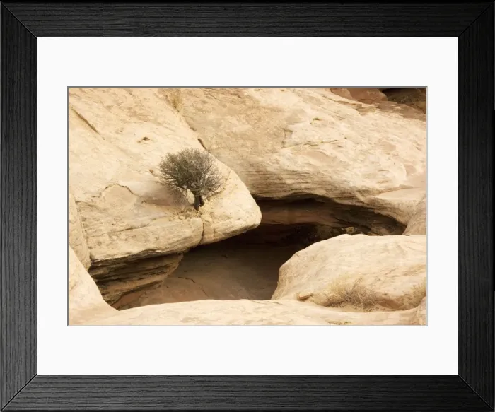 Framed Print : Natural bridge in formation in sandstone valley, Capitol Reef National Park, Utah, USA Framed Print : Natural bridge in formation in sandstone valley, Capitol Reef National Park, Utah, USA