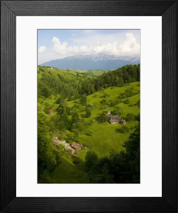 Framed Print : Old-fashioned agriculture in the Piatra Craiulu Mountains National Park: hay cutting by hand, unimproved pastures etc. Romania Framed Print : Old-fashioned agriculture in the Piatra Craiulu Mountains National Park: hay cutting by hand, unimproved pastures etc. Romania