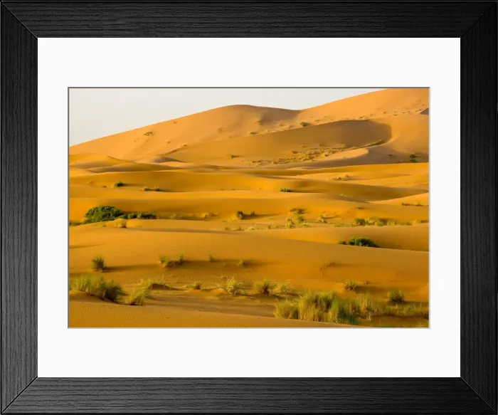 Framed Print : Erg Chebbi sand dunes - Moroccan Sahara Desert - after very wet winter (spring 2009). Morocco Framed Print : Erg Chebbi sand dunes - Moroccan Sahara Desert - after very wet winter (spring 2009). Morocco