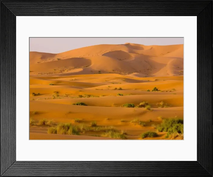 Framed Print : Erg Chebbi sand dunes - Moroccan Sahara Desert - after very wet winter (spring 2009). Morocco Framed Print : Erg Chebbi sand dunes - Moroccan Sahara Desert - after very wet winter (spring 2009). Morocco