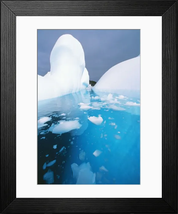 Framed Print : Antarctic RS 32 Iceberg melting © Robyn Stewart  /  ARDEA LONDON
