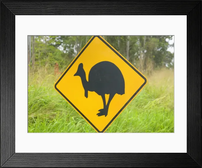 Framed Print : Cassowary warning sign - roads and traffic are big threats for the Southern Cassowary which often cross roads because they cut through their territory. In the few areas where there are still cassowary populations