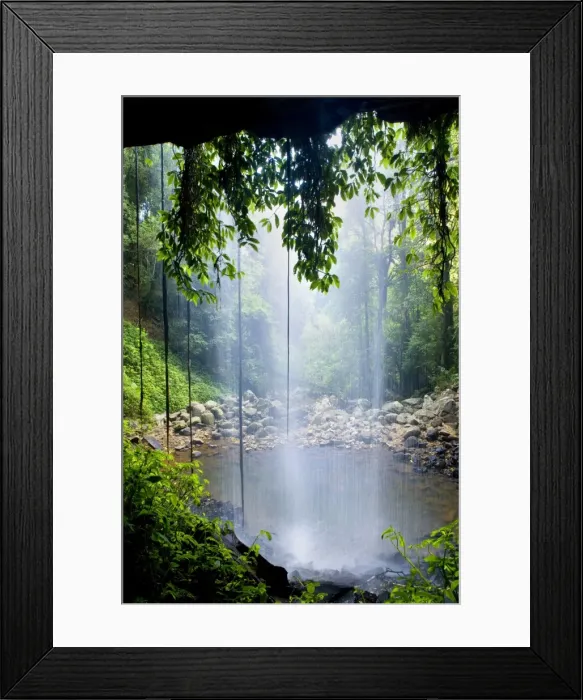 Framed Print : Crystal Shower Falls - very beautiful and enchanting waterfall located within lush subtropical rainforest. The water rushes over a densely overgrown cliff in a narrow gorge and one can walk behind the veil, which is quite unique Framed Print : Crystal Shower Falls - very beautiful and enchanting waterfall located within lush subtropical rainforest. The water rushes over a densely overgrown cliff in a narrow gorge and one can walk behind the veil, which is quite unique
