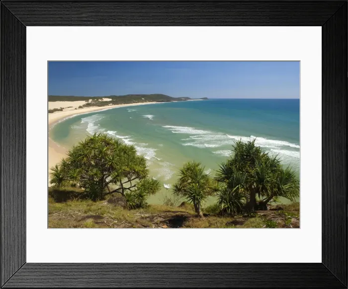 Framed Print : Fraser Island Beach - view of a turquoise-coloured laguna and white dream beach, from Waddy Point towards Sandy Cape - Fraser Island World Heritage Area, Great Sandy National Park, Queensland, Australia Framed Print : Fraser Island Beach - view of a turquoise-coloured laguna and white dream beach, from Waddy Point towards Sandy Cape - Fraser Island World Heritage Area, Great Sandy National Park, Queensland, Australia