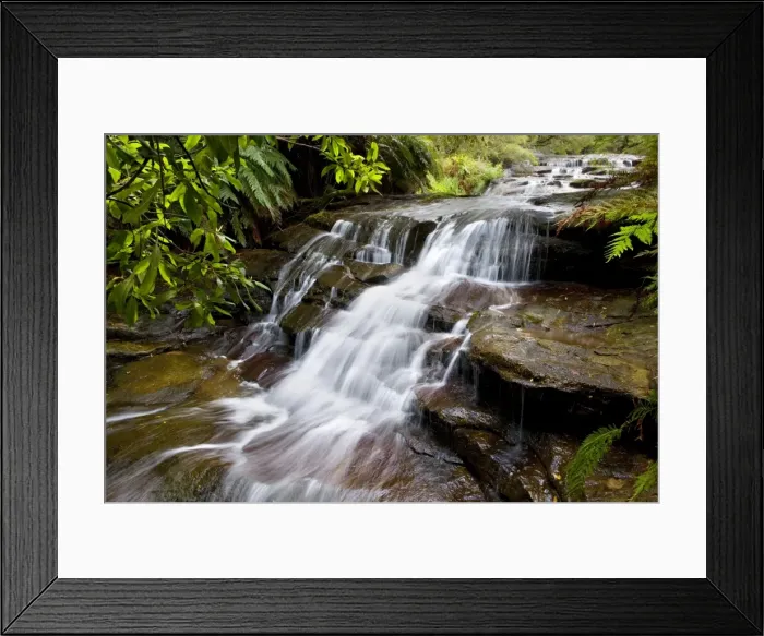 Framed Print : Leura cascades - beautiful waterfall rushes down over moss-covered rocks, surrounded by lush vegetation of mostly ferns - Leura Cascades, Blue Mountains National Park, New South Wales, Australia Framed Print : Leura cascades - beautiful waterfall rushes down over moss-covered rocks, surrounded by lush vegetation of mostly ferns - Leura Cascades, Blue Mountains National Park, New South Wales, Australia