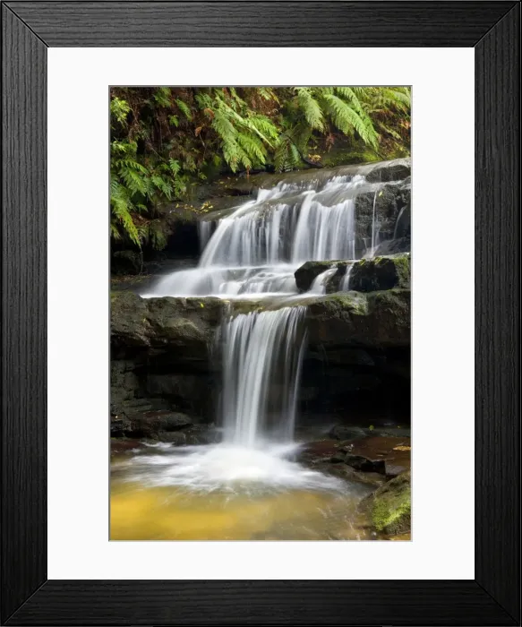 Framed Print : Leura cascades - beautiful little waterfall rushes down over moss-covered rocks, surrounded by lush vegetation of mostly ferns - Leura Cascades, Blue Mountains National Park, New South Wales, Australia Framed Print : Leura cascades - beautiful little waterfall rushes down over moss-covered rocks, surrounded by lush vegetation of mostly ferns - Leura Cascades, Blue Mountains National Park, New South Wales, Australia