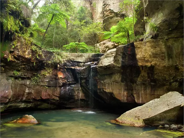 Moss Garden - idyllic oasis within Carnarvon Gorge, located in Queensland's arid outback. Moss Garden has got it's lush beauty from a cut subterranean watercourse, which provides a permanent waterflow