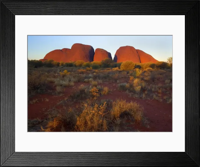 Framed Print : Olgas - Kata Tjuta - famous sandstone rocks at sunset. The red rock is ablaze with colour - Uluru-Kata Tjuta National Park, World Heritage Area, Northern Territory, Australia Framed Print : Olgas - Kata Tjuta - famous sandstone rocks at sunset. The red rock is ablaze with colour - Uluru-Kata Tjuta National Park, World Heritage Area, Northern Territory, Australia