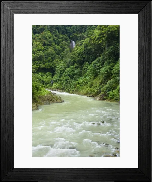 Framed Print : Waterfall and Bahorok river - beautiful waterfall cascades down a steep cliff flowing into bahorok river in precious sumatran tropical rainforest. This is the precious habitat of the very endangered sumatran orangutan Framed Print : Waterfall and Bahorok river - beautiful waterfall cascades down a steep cliff flowing into bahorok river in precious sumatran tropical rainforest. This is the precious habitat of the very endangered sumatran orangutan