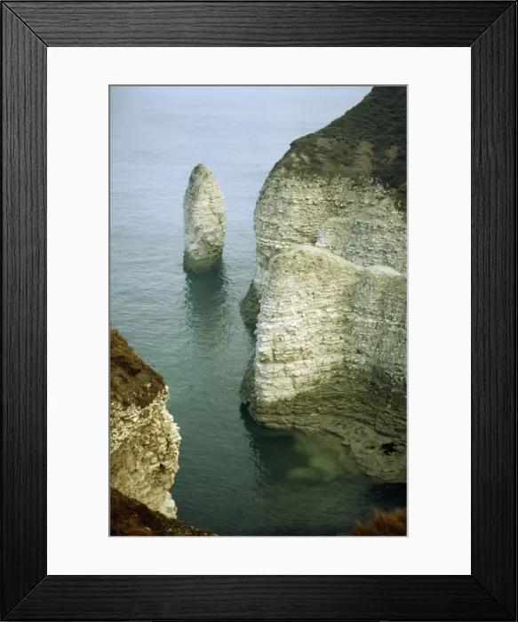 Framed Print : UK SG 3073 Chalk cliffs Flamborough Head, Yorkshire. © ARDEA LONDON Framed Print : UK SG 3073 Chalk cliffs Flamborough Head, Yorkshire. © ARDEA LONDON