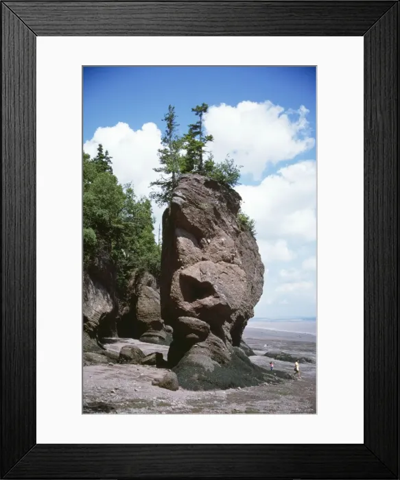 Framed Print : Canada - Flower Pot Rock, at low tide. Eroded by world's highest bay of Fundy tides. New Brunswick, Cape Hopewell Framed Print : Canada - Flower Pot Rock, at low tide. Eroded by world's highest bay of Fundy tides. New Brunswick, Cape Hopewell