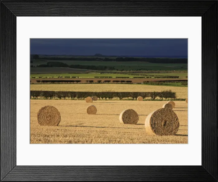 Framed Print : Straw Bales - stormy autumn sky, Budle Bay, Northumberland National Park, England