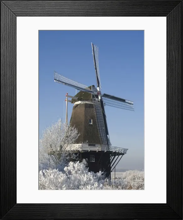 Framed Print : Tower mill and flourmill De Vlijt Rime The Netherlands, Gelderland, Marle Framed Print : Tower mill and flourmill De Vlijt Rime The Netherlands, Gelderland, Marle