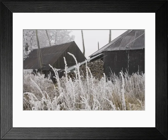 Framed Print : Old haystacks The Netherlands, Overijssel, Hasselt Framed Print : Old haystacks The Netherlands, Overijssel, Hasselt