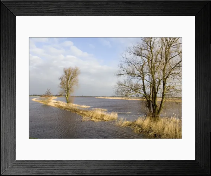 Framed Print : Foreland flooded river in winter The Netherlands, Overijssel, river Zwartewater (Blackwater) Framed Print : Foreland flooded river in winter The Netherlands, Overijssel, river Zwartewater (Blackwater)