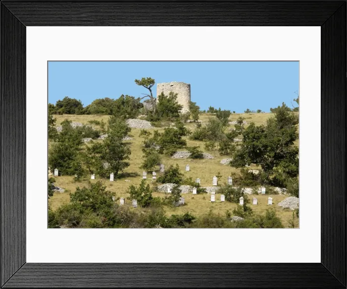 Framed Print : Apiary / Beehives - in typical Provence landscape. France Framed Print : Apiary / Beehives - in typical Provence landscape. France