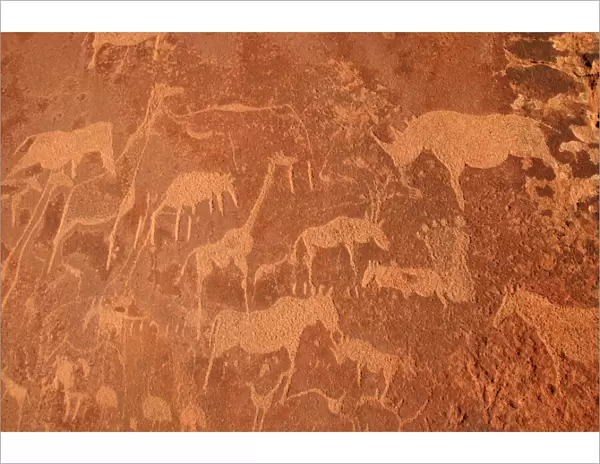 Rock Engravings. Twyfelfontein. Namibia Betweeen -5600 BC et _2500 BC