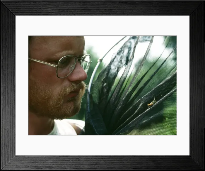 Framed Print : Entomologist With Grasshopper, UK Framed Print : Entomologist With Grasshopper, UK