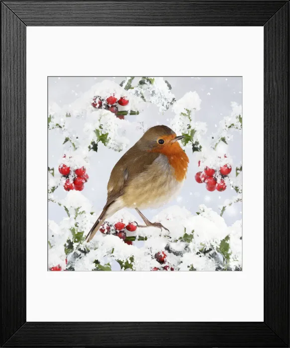 Framed Print : Picture No. 12479226 Framed Print : Picture No. 12479226
