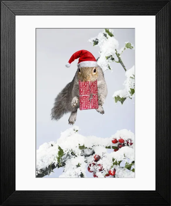 Framed Print : Picture No. 12479594 Framed Print : Picture No. 12479594