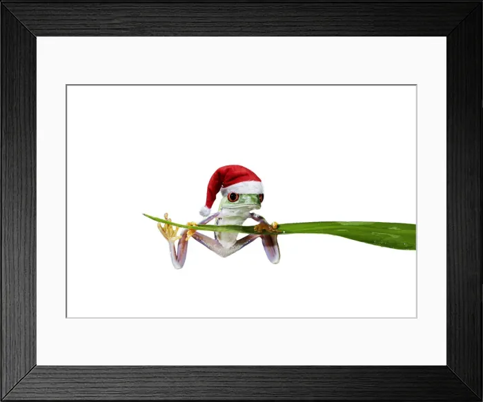 Framed Print : Picture No. 12479886 Framed Print : Picture No. 12479886