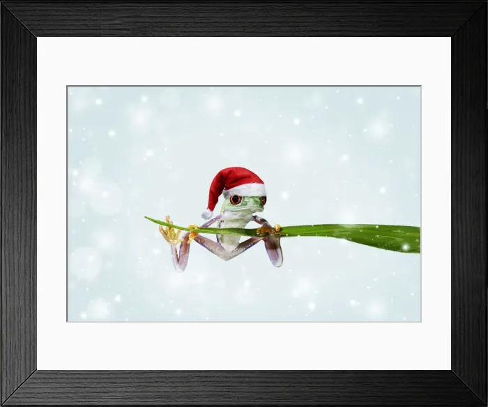 Framed Print : Picture No. 12479887 Framed Print : Picture No. 12479887