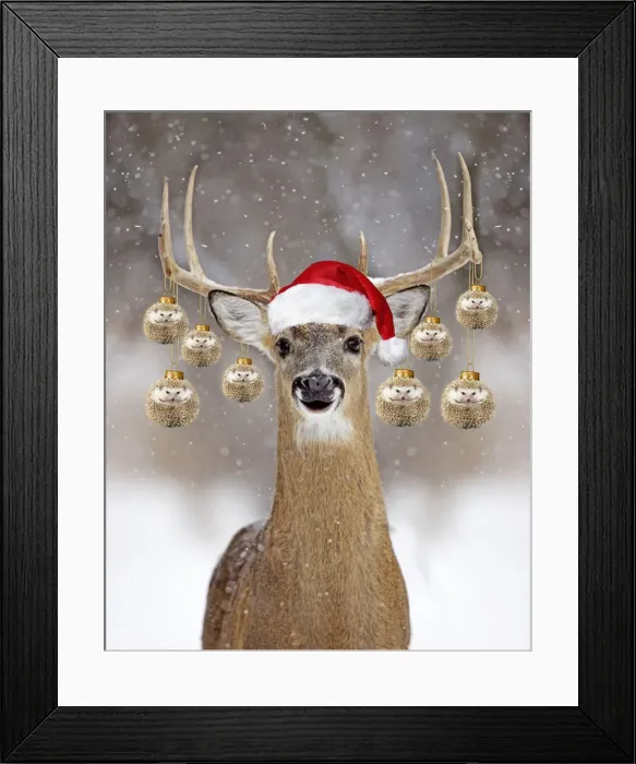 Framed Print : Picture No. 12479595 Framed Print : Picture No. 12479595