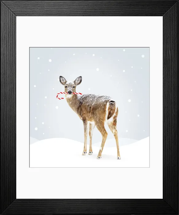 Framed Print : Picture No. 12479968 Framed Print : Picture No. 12479968
