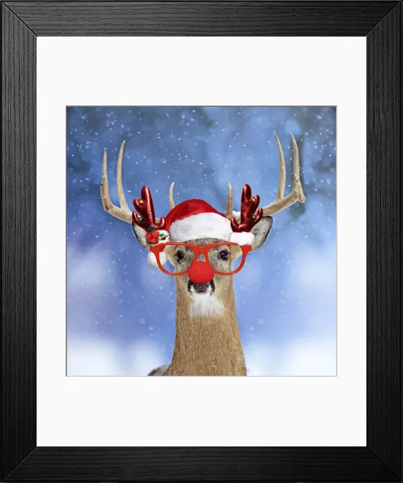 Framed Print : Picture No. 12479596 Framed Print : Picture No. 12479596