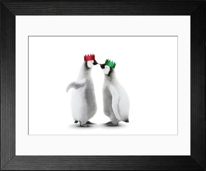 Framed Print : Picture No. 12479888 Framed Print : Picture No. 12479888