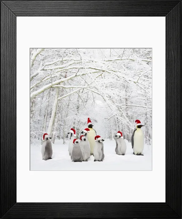Framed Print : Picture No. 12479891 Framed Print : Picture No. 12479891