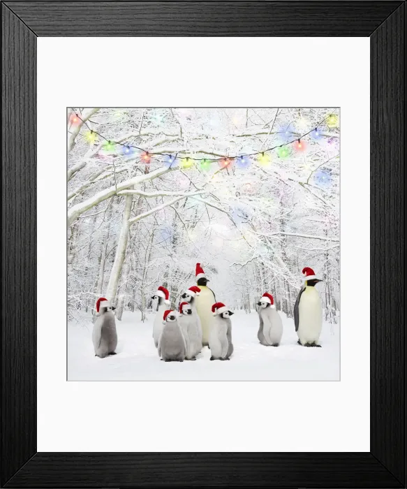 Framed Print : Picture No. 12479892
