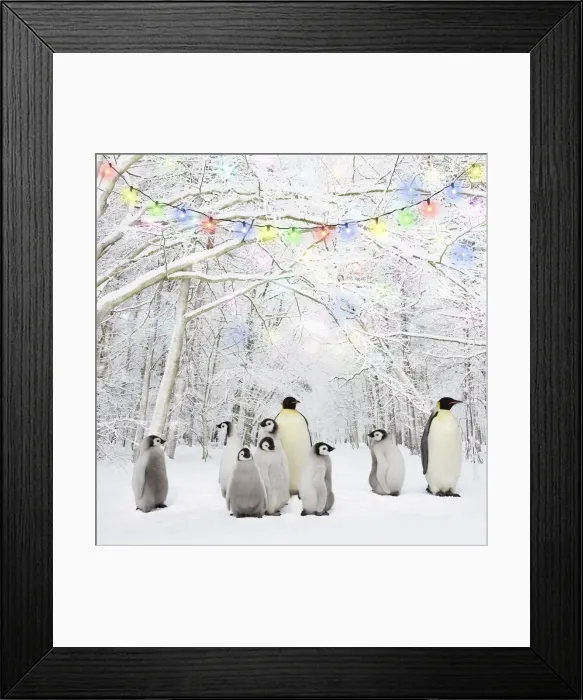 Framed Print : Picture No. 12479893 Framed Print : Picture No. 12479893