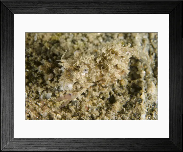 Framed Print : Picture No. 12479161 Framed Print : Picture No. 12479161