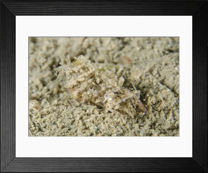 Framed Print : Picture No. 12479164 Framed Print : Picture No. 12479164
